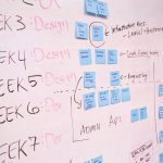 IT project manager
